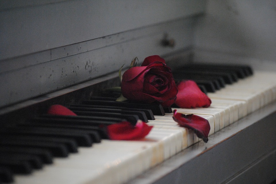Piano and Rose (free)